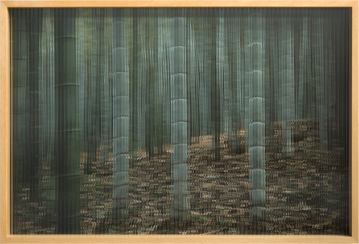 张辽源：对观看保持永远怀疑 | 访谈